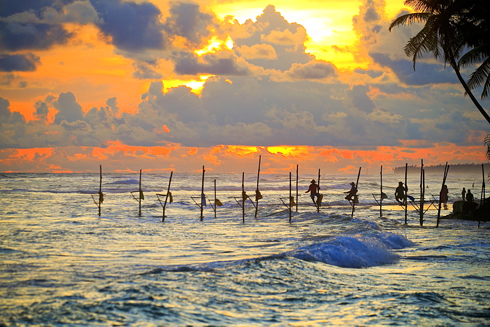 Stilt fishermen near the beach at sunset, traditional fishing, Weligama, Indian Ocean, Sri Lanka