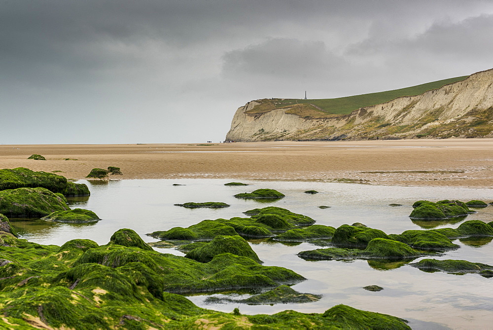 Cap Blanc-Nez in gray weather, summer, Pas de Calais, France