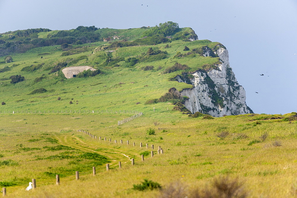 Cape blanc-nez, spring, Pas de Calais, France