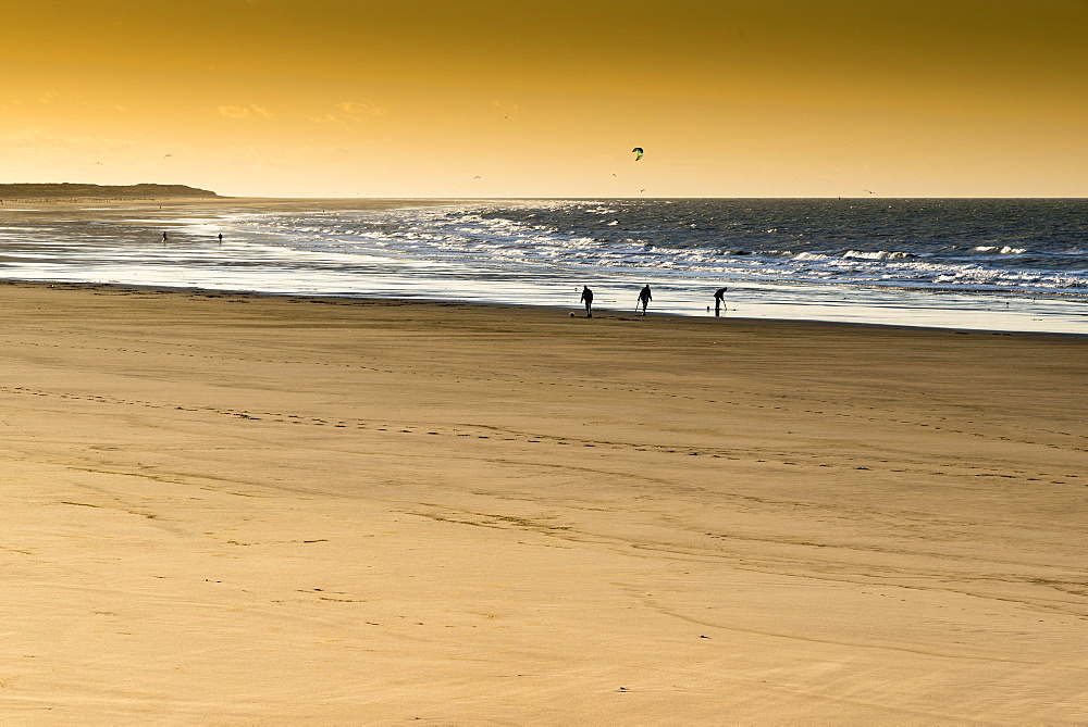 Fishermen looking for worms on Calais beach at sunset, winter, Pas de Calais, France