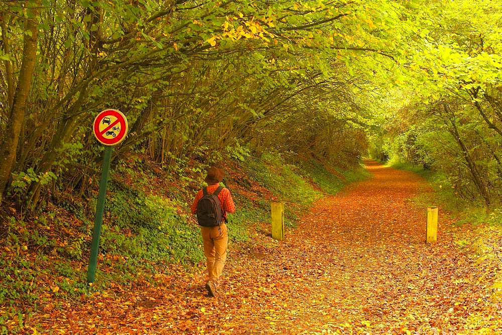 Walker walking on a green stream following an old abandoned railway line connecting Beauvais to Amiens - in autumn, Picardy, France.