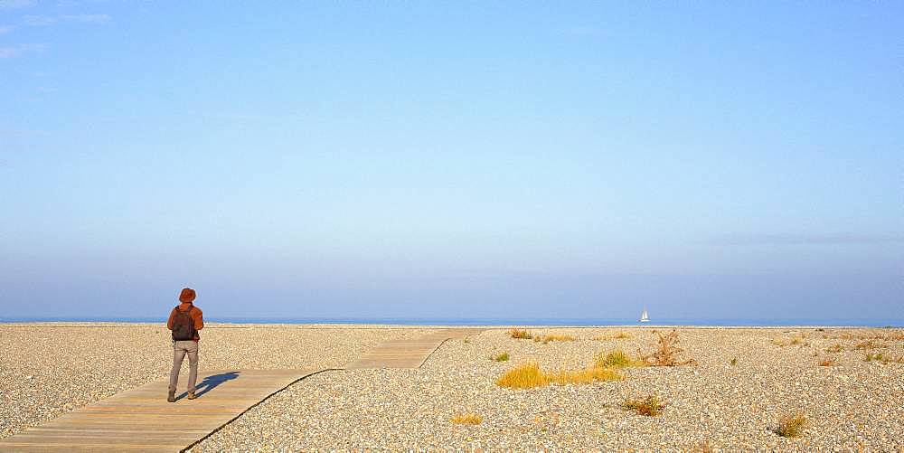 Walker walking on wooden boardwalk leading to the sea on which a sailboat sails on the horizon, on a pebble beach in Cayeux-sur-Mer, Picardy, France.