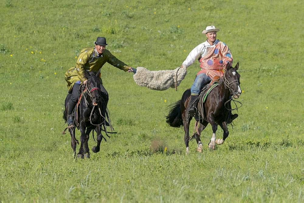 Mongolians traditionnaly dressed on a horse, traditional exercise of address, Bashang Grassland, Zhangjiakou, Hebei Province, Inner Mongolia, China