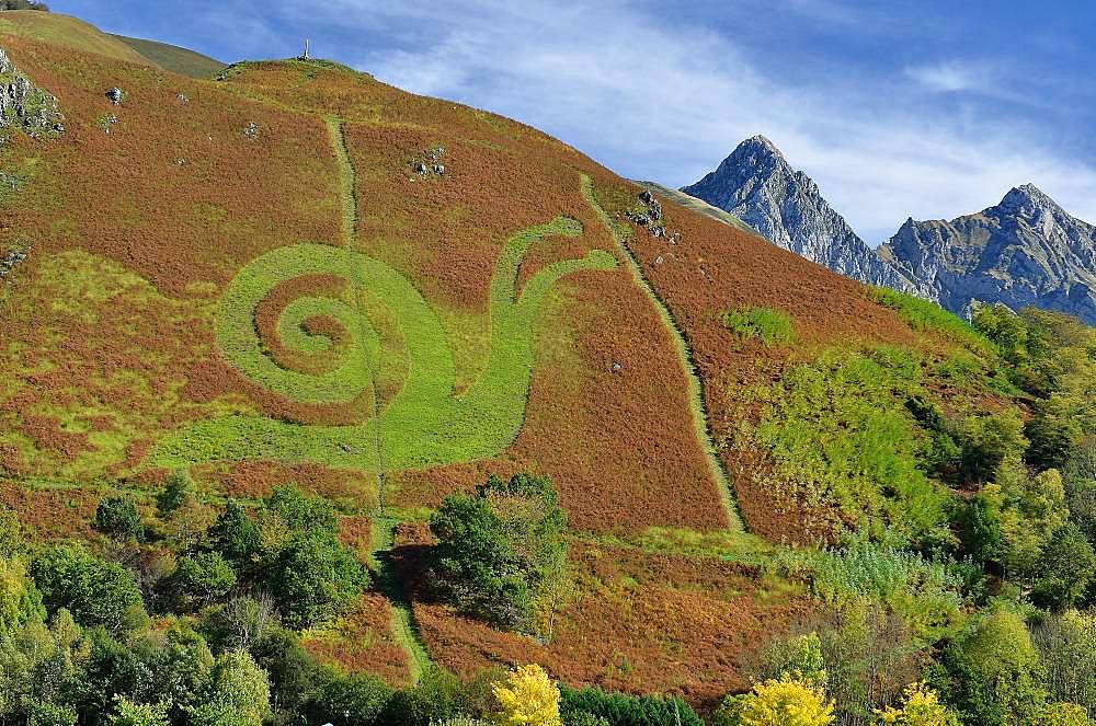 Snail-shaped plant motif in the Poey fern planting in autumn, Aspe Valley, Pyrenees, France