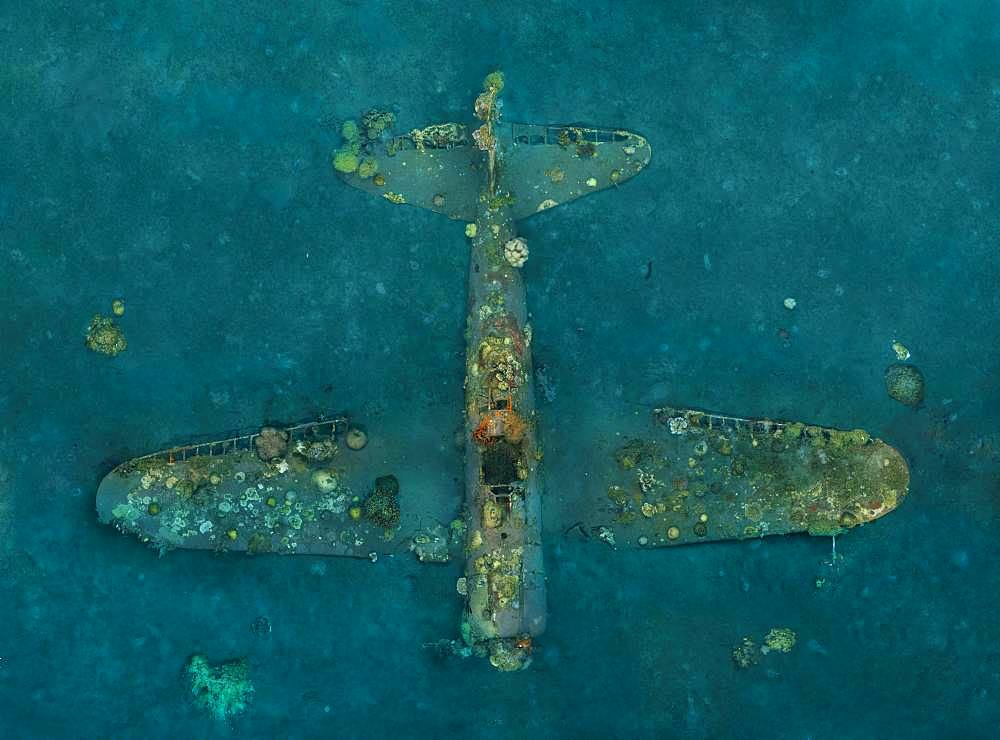 Tara Pacific expedition - november 2017 Zero wreck, vertical view Orthomosaic from 3D photogrammetry (13500 x 10000 px). D: 15 m Kimbe Bay, papua New Guinea, Coral growth on this wreck is from a period of 74 years ! The ZERO, is a Japanese WW2 fighter plane wreck. This Zero wreck was discovered in January 2000 by local William Nuli while he was freediving for sea cucumbers. He asked the Walindi Plantation Resort dive team if they might know what it was, and when they investigated they uncovered the intact wreck of a Zero fighter, resting on a sedimented bottom in 15 m depth. This World War II Japanese fighter is almost completely intact. The plane is believed to have been ditched, the pilot is believed to have survived, but was never found on the island. He never returned home. Maybe he disappeared in the jungle? On 26th December 1943, during the battle of Cape Gloucester, the Japanese pilot made an emergency landing, ditching his Mitsubishi A6M Zero plane into the sea approximately 100m off West New Britain Province. The plane was piloted by PO1 Tomiharu Honda of the 204st K?k?tai. His fate is unknown but it is believed the he made a controlled water landing after running out of fuel and survived. Although he failed to return to his unit, the plane was found with the throttle and trim controls both set for landing and the canopy was open. There are no visible bullet holes or other shrapnel damage and the plane is still virtually intact after over 70 years underwater. It is a A6M2 Model 21 Zero, made famous for its use in Kamikaze attacks by the Japanese Imperial Navy. The wreck has the Manufacture Number 8224 and was built by Nakajima in late August 1942.