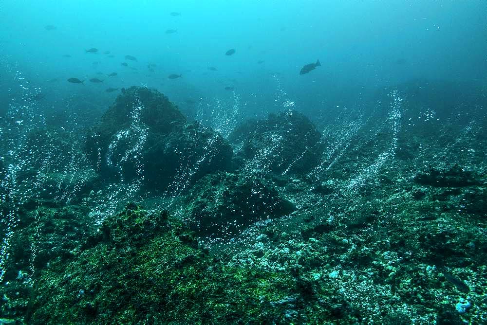 Tara Oceans Expeditions - May 2011. Bubbles rise from underwater volcanic vents among rocks, the openings are crusted with sulfur, Roca Redonda, Galapagos, Ecuador