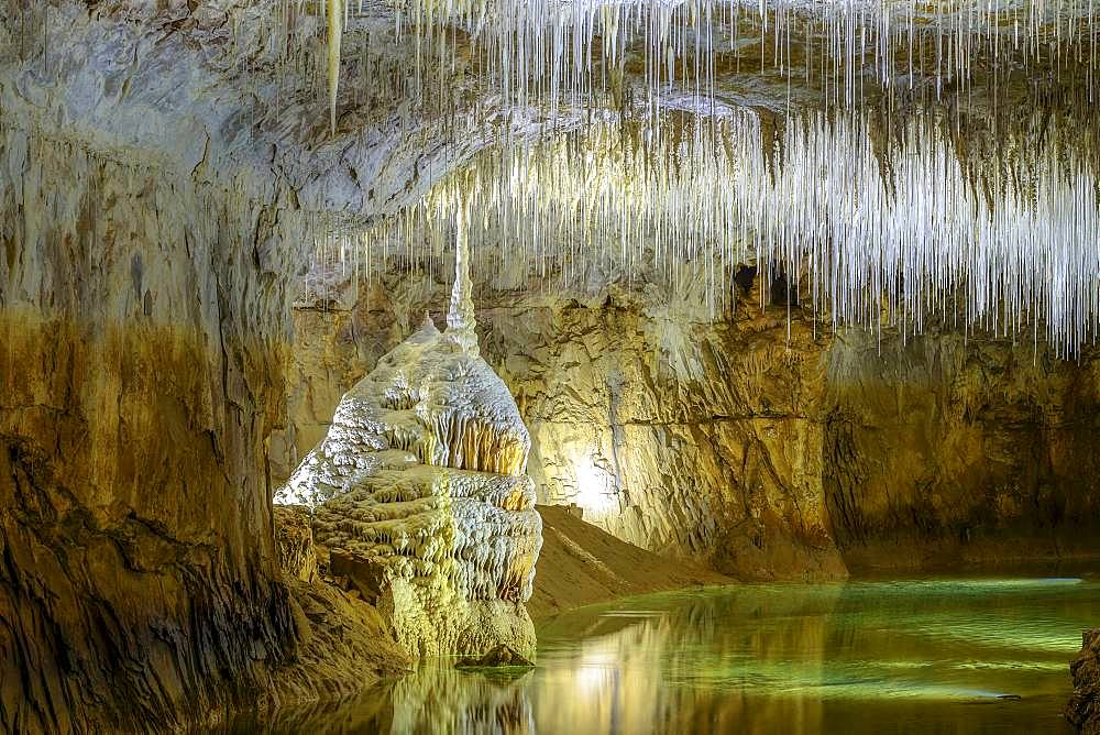 Concretions in the caves of Choranche, cave remarkably rich in fistuleuses, fine stalagmites that can reach several meters long, Massif du Vercors, Isere, France