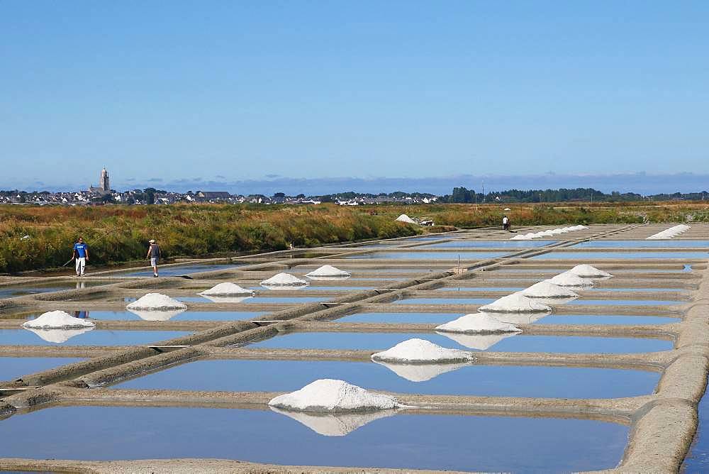 Salt marshes in full production, storage along the marsh, Guerande, Loire Atlantique, France