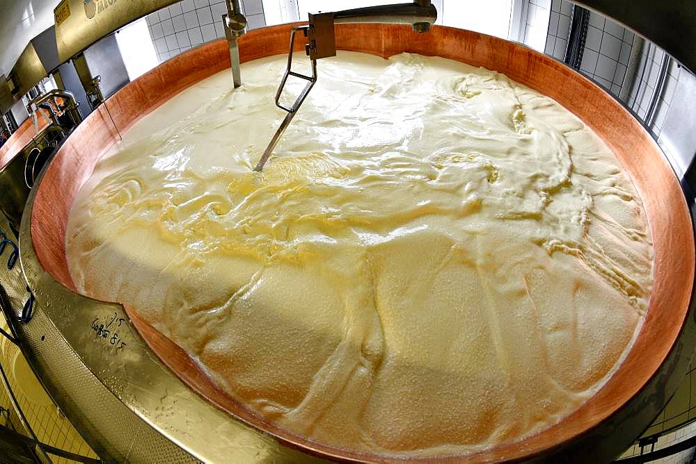 Comte cheese making, milk tank, Cheese factory, Damprichard, Doubs, France