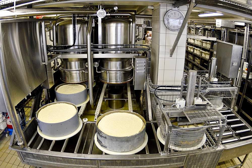 Morbier cheese making, Cheese factory, Damprichard, Doubs, France