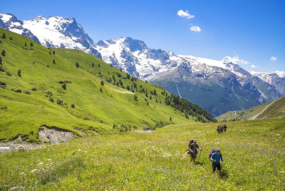 Hikers at the altitude of 1951 m on the path to the neck of Lake Goleon, Valley of the hamlet of Valfroide in the massif of Oisans with La Meije (3983m) in the background, Ecrins National Park, Hautes-Alpes, La France