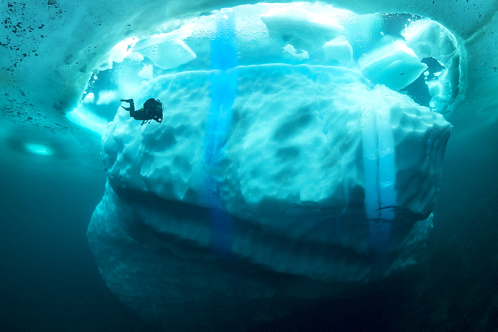 Only in springtime, when the hard winter slowly subsides, are the ice-cold waters suitable for divers who can dive around a iceberg that floats in crystal-clear water, Tasiilaq, East Greenland