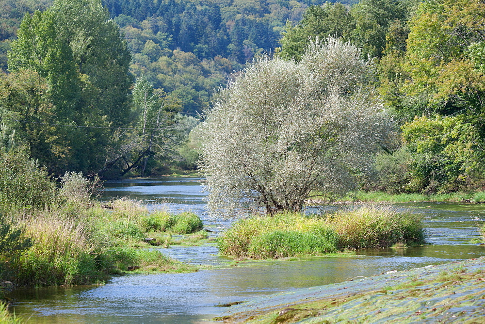 Loue river, Franche-Comté, France