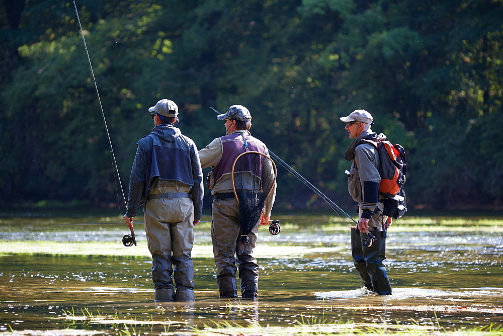 Fly fishing on the Loue river, Franche-Comté, France