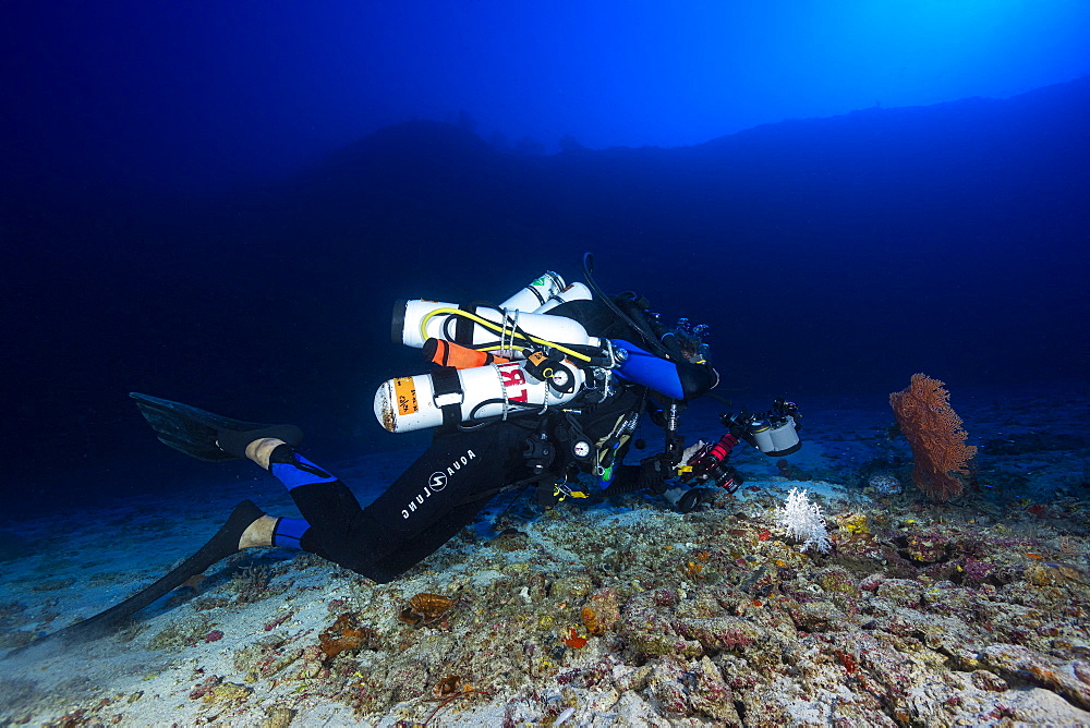 Divers photographer, Olivier in full session of photography on one of the many white corals which is between the second and the third reef wall to 80 meters deep, Mayotte