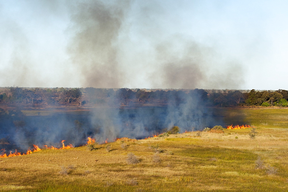 Aerial view of a bushfire in the Okavango Delta, Botswana.