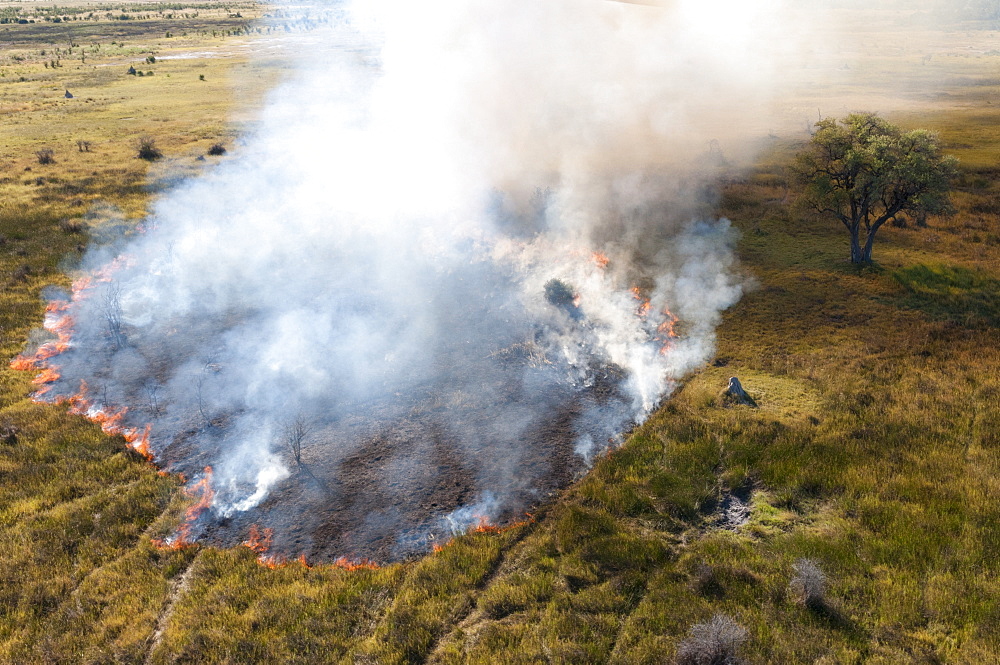 Aerial view of a bushfire in the Okavango Delta, Botswana.