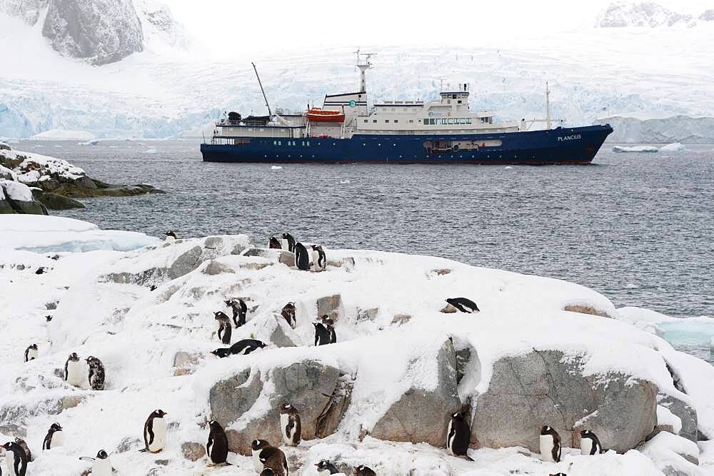 Plancius cruise ship Petermann Island, Antarctica.