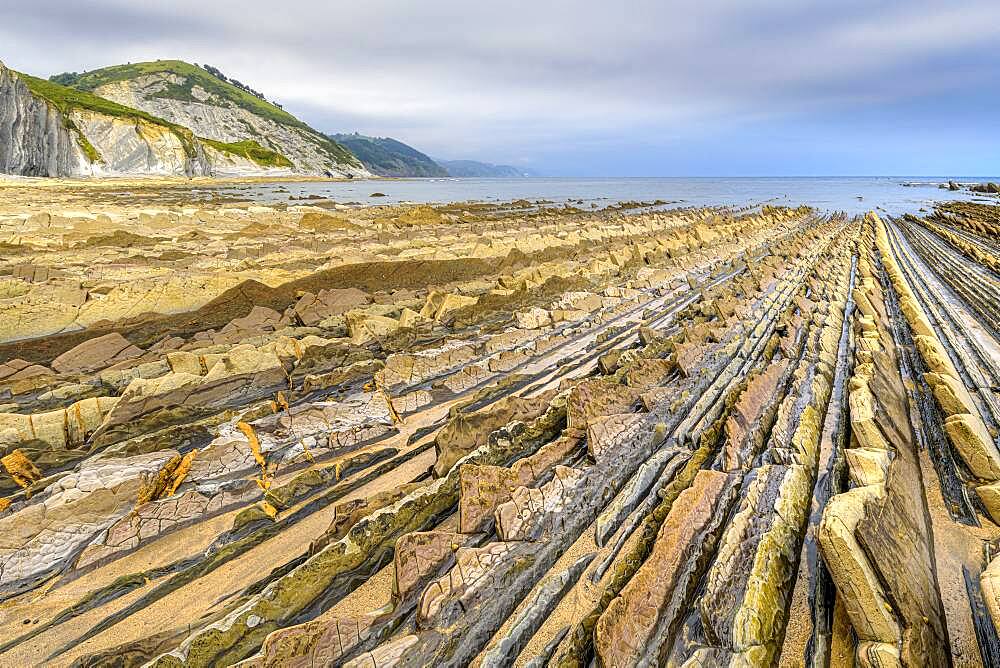 Remarkable flysch formations of Deba, Basque Coast Geopark, Basque Country, Spain. Flysch formed at the end of the Mesozoic era in the Cretaceous - flyschs are formed by sediment accumulation following repeated submarine avalanches, due to earthquakes, and producing after compaction and crystallization very regular layers of sandstone and limestone here recovered by Pyrenean orogeny and released by erosion.