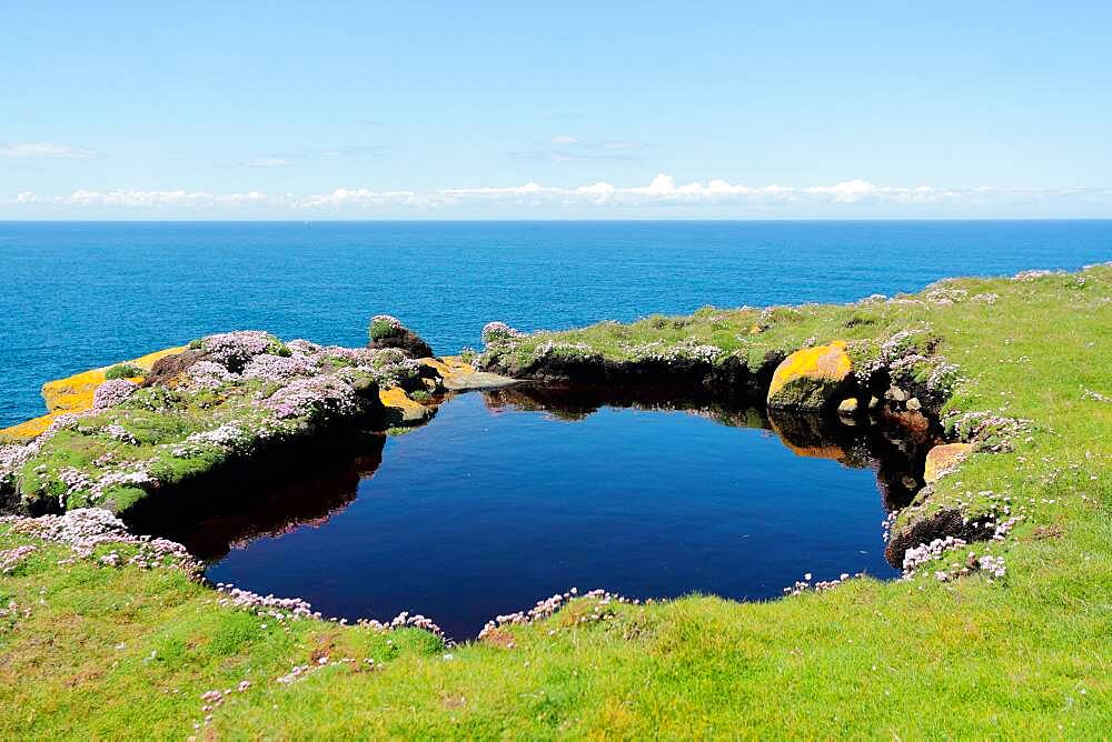 Isle of Handa, Scotland