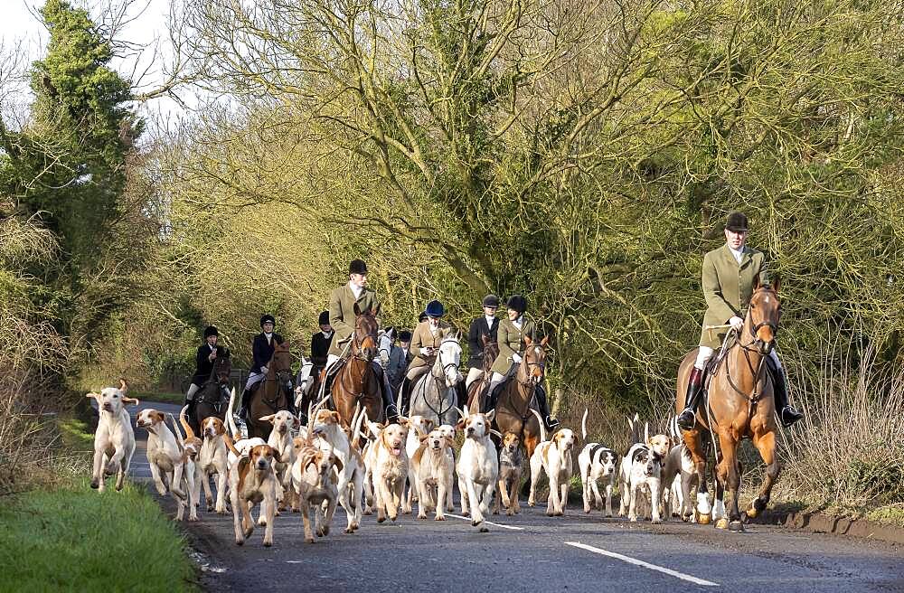 Bicester hunt trail hunting, Oxfordshire, England