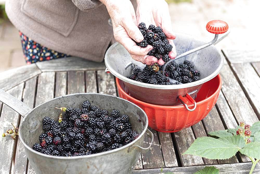 Making an old-fashioned blackberry jam in summer