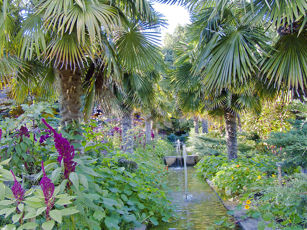 Jardin zen japonais, Le Parc floral de la Court d'Aron, Saint-Cyr-en-Talmondais, Vendee, France