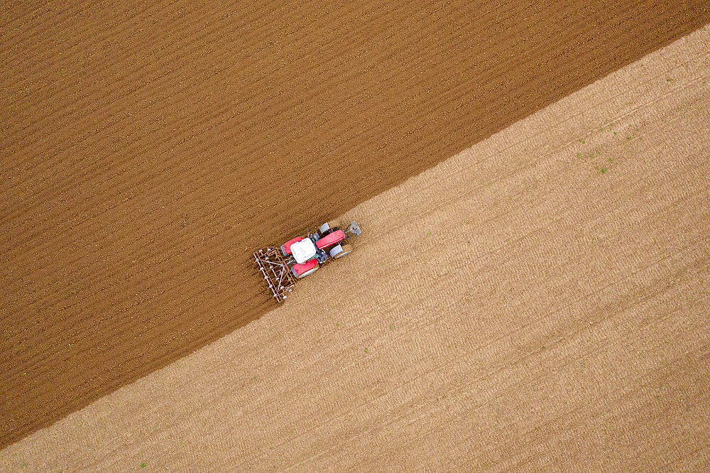 Tractor during stubble ploughing in autumn, Pas-de-Calais, Opal Coast, France