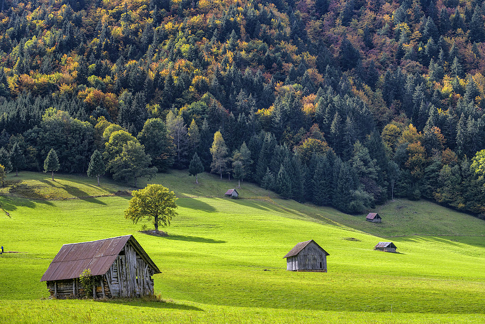 Wooden huts typical of the Chatelard region for storing hay, Savoie, Alps, France