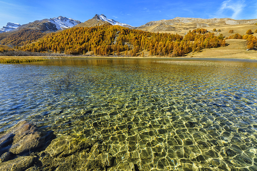 Lac des Sagnes, mountain lake (1905 m) nestled in Haute Ubaye, Alpes de Haute Provence, France