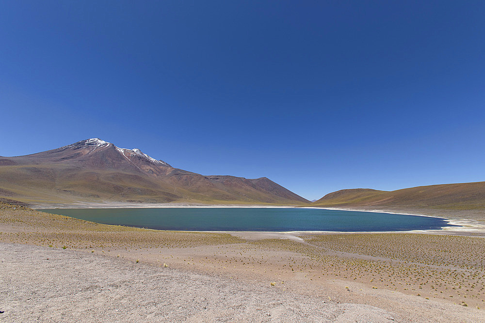 Miscanti Laguna and Miñiques volcano, Los Flamencos National Reserve, San Pedro de Atacama, Chili