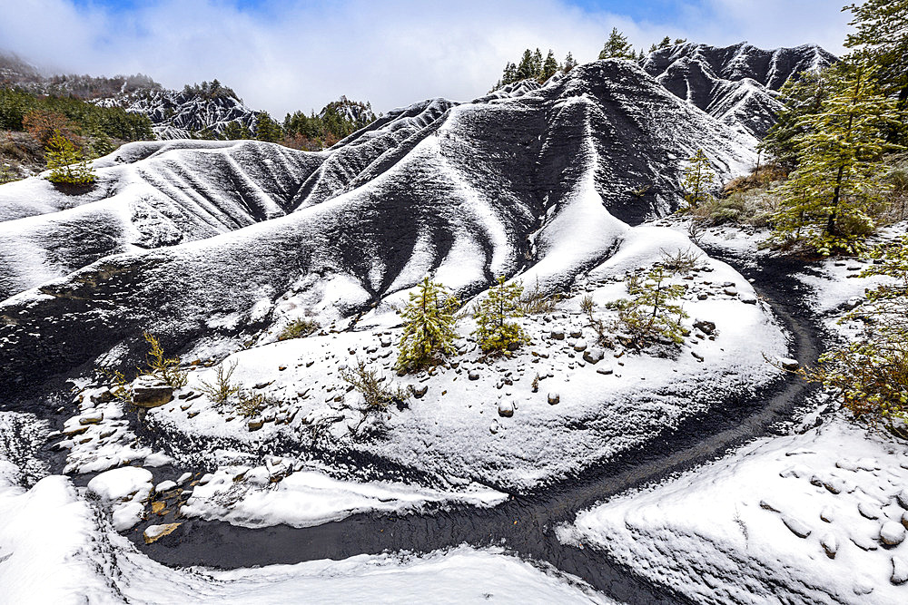 Les Terres Noires de Robine sur Galabre under the snow. Jurassic (Toarcian) marls rich in organic matter, tender and very sensitive to gullying, colonized mainly by Scots pines and forming remarkable reliefs in the Digne Geological Reserve, Alpes de Haute Provence, France.