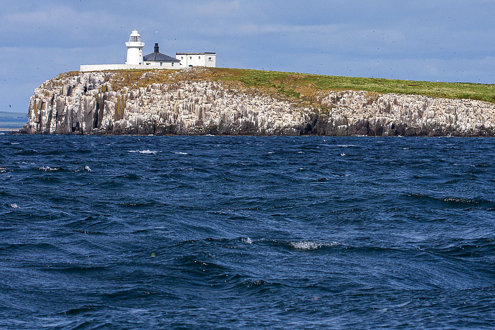 Inner Farne, one of the Farne Islands, England