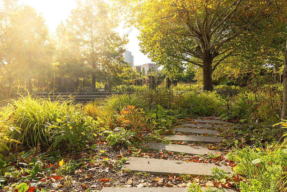 The Garden of the Giants in autumn, Lille, Hauts de France, France