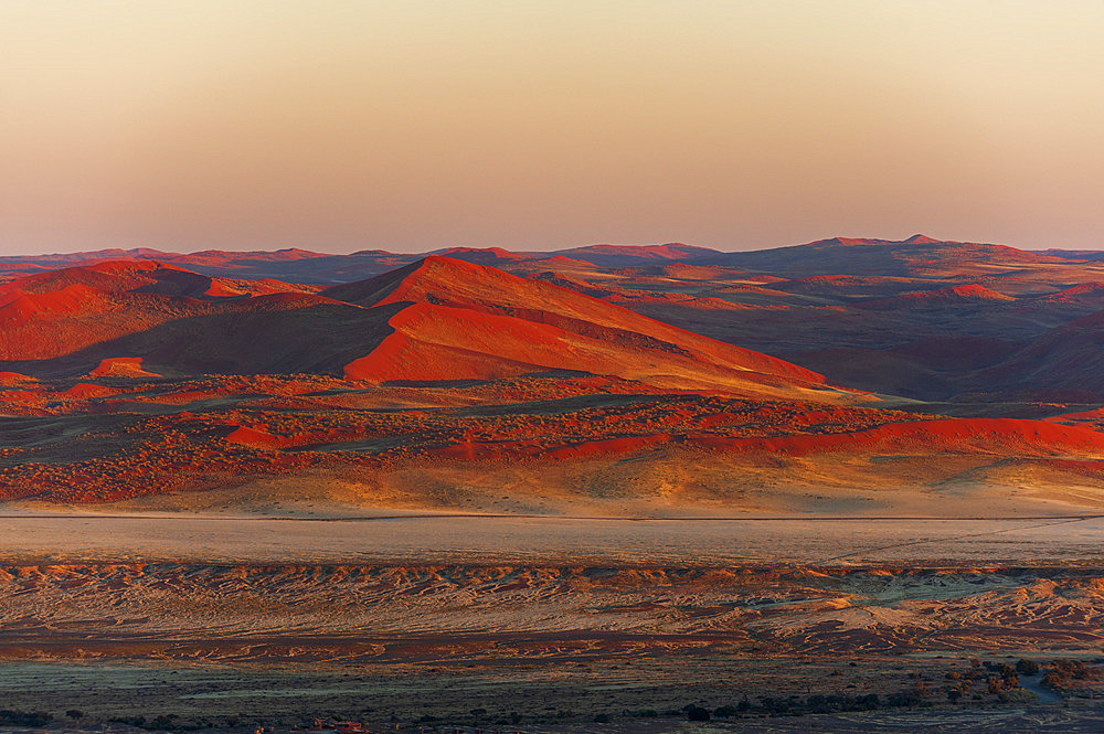 Sunlight illuminates red sand dunes and the Namib Desert at sunrise. Namib Naukluft Park, Namib Desert, Namibia.