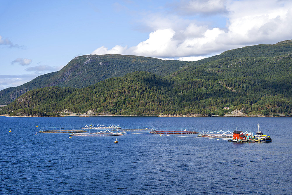 Salmon fish farm with cages located at sea in the Vinjefjorden fjord in Norway