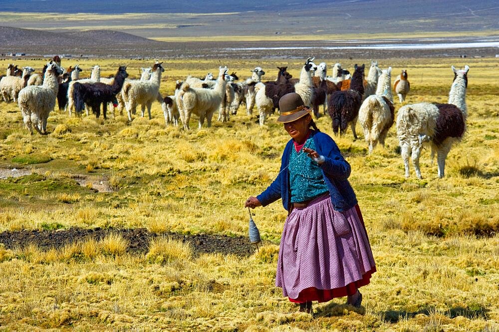 Aymara shepherdess spining the wool of Lama Sajama Bolivia