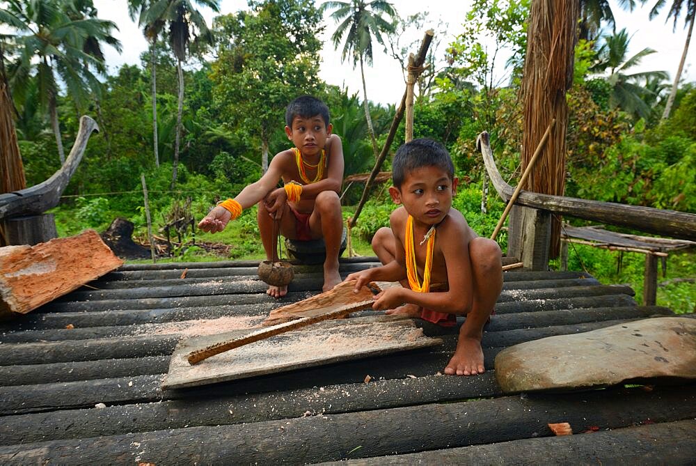 Mentawai boys and chikens, Siberut, Mentawai, Indonesia