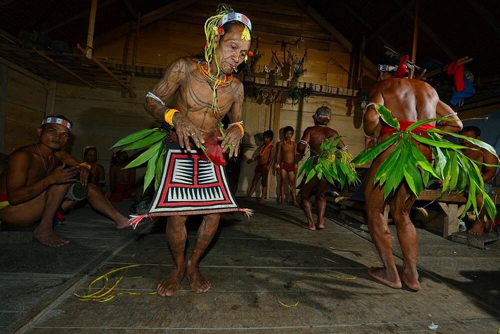 Ritual dance of Sikere (medicine men), Mentawai people, Siberut, Mentawai, Indonesia