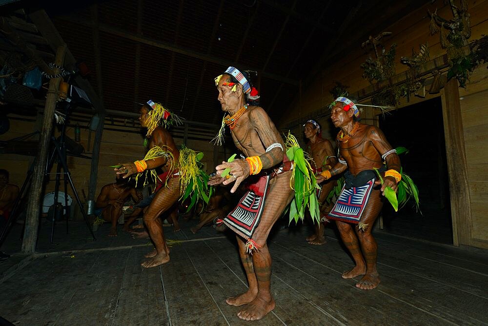 Ritual dance of Sikere (medicine men), Mentawai people, Siberut, Mentawai, Indonesia