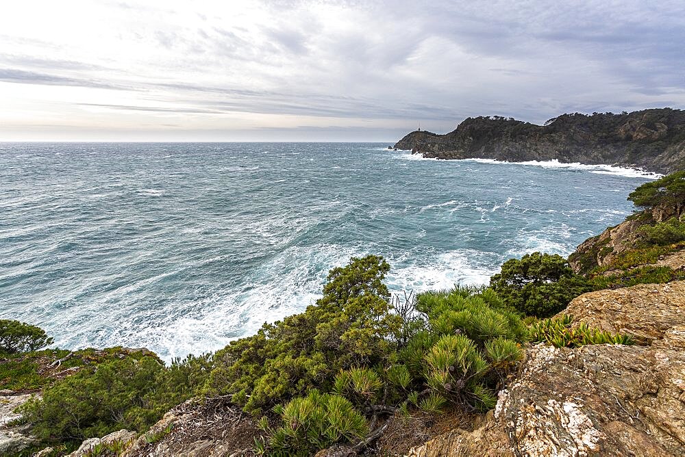 South coast of Porquerolles Island, Var, Port Cros National Park, France