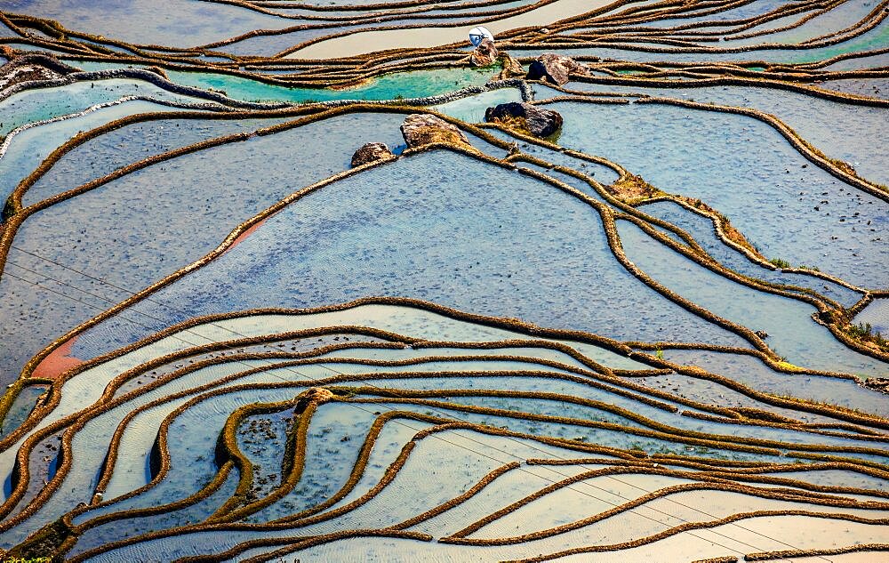 Honghe Hani Rice Terraces in Yuanyang County. Yunnan Province. China.