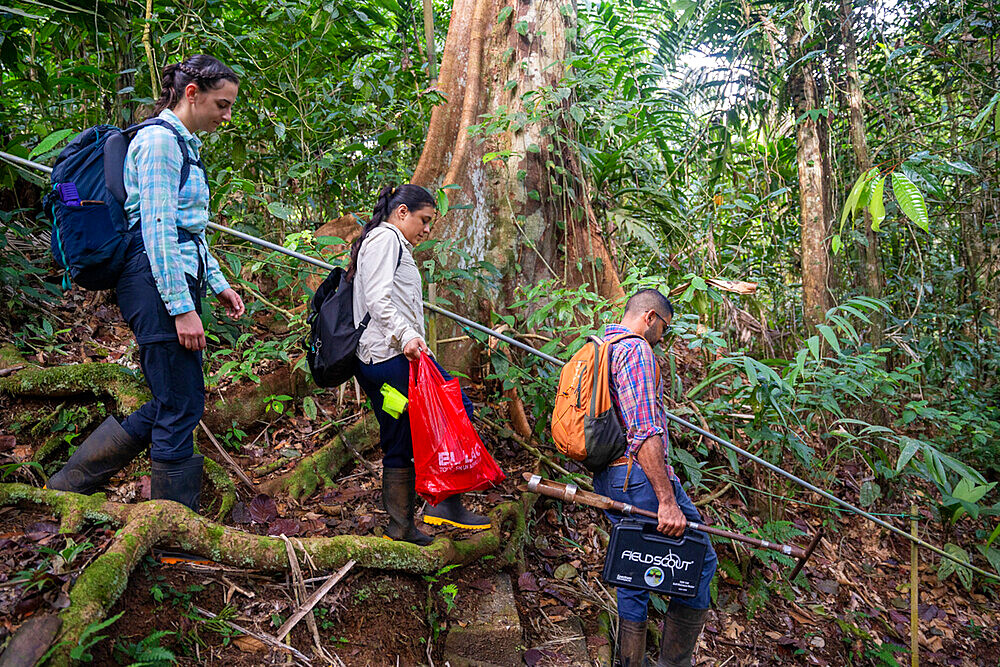 Researchers walking through the rainforest at the "La Selva" research station in Puerto Viejo de Sarapiqui, Costa Rica