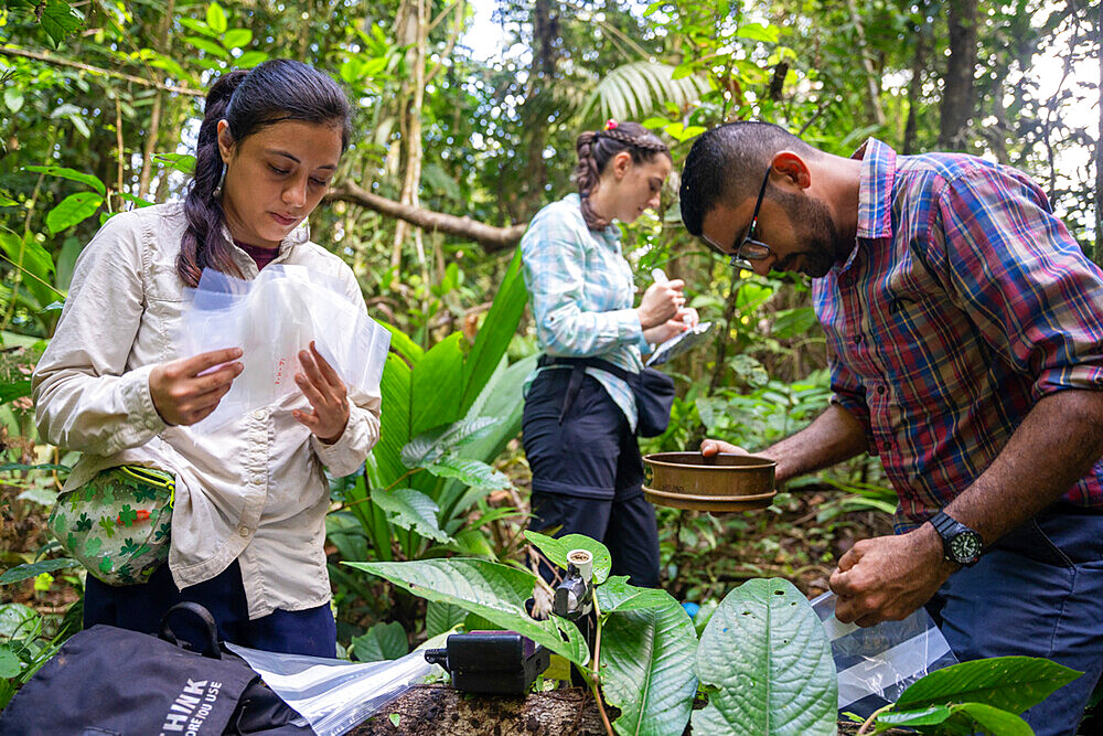 27-year-old researcher and her team working on nitrogen exchange between bacteria and the roots of legumes in the rainforest at the "La Selva" research station in Puerto Viejo de Sarapiqui, Costa Rica