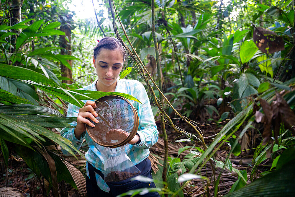 27-year-old researcher working on nitrogen exchange between bacteria and the roots of legumes in the rainforest at the "La Selva" research station in Puerto Viejo de Sarapiqui, Costa Rica