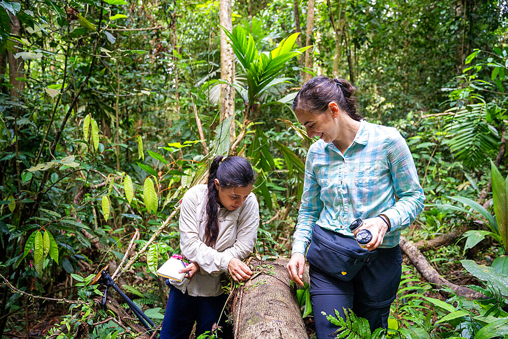 27-year-old researcher working on nitrogen exchange between bacteria and the roots of legumes in the rainforest at the "La Selva" research station in Puerto Viejo de Sarapiqui, Costa Rica