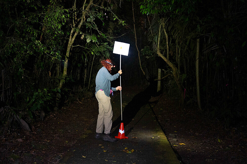 Installation of a sign on a hiking trail indicating the presence of nets to capture bats as part of a pollination study, rainforest of the "La Selva" research station in Puerto Viejo de Sarapiqui, Costa Ricardo