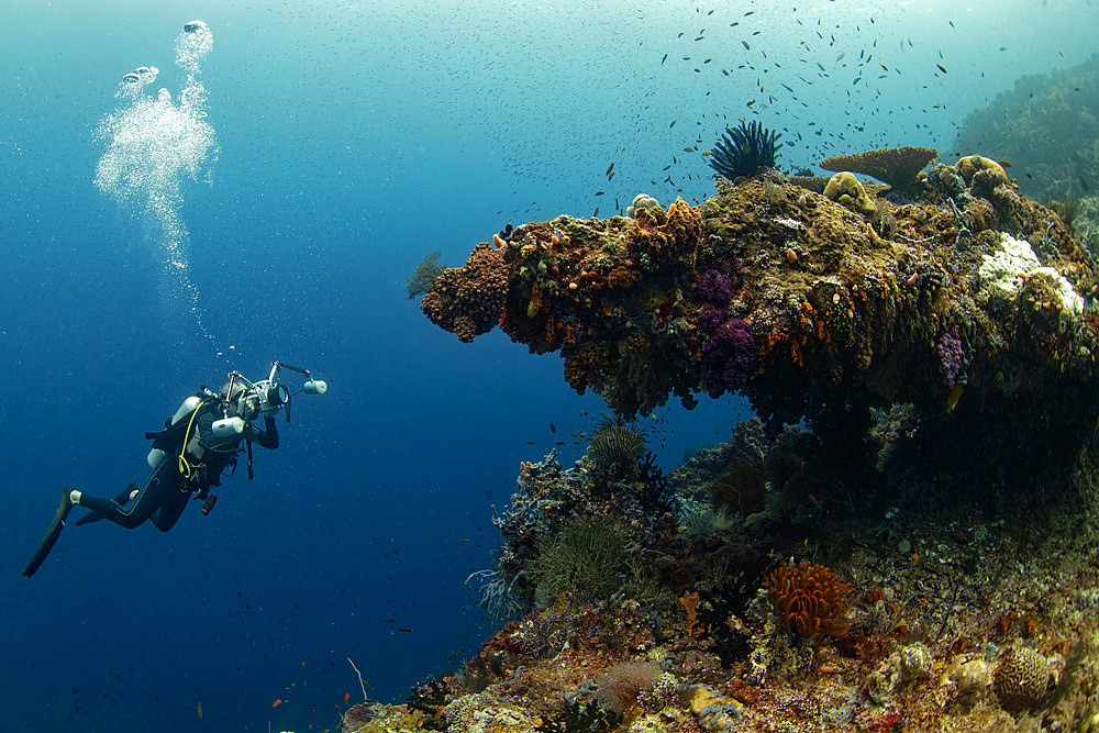 Diver photographer and coral diver, Raja-Ampat, Indonesia