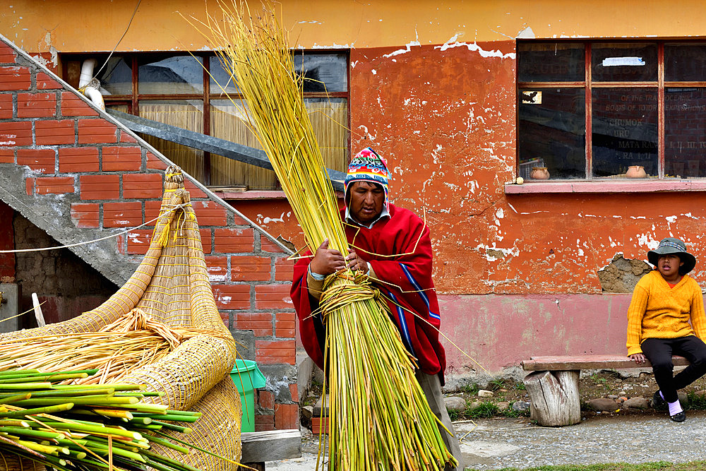 Aymara working the Totora (Schoenoplectus californicus subsp. tatora), Lake Titicaca, Bolivia