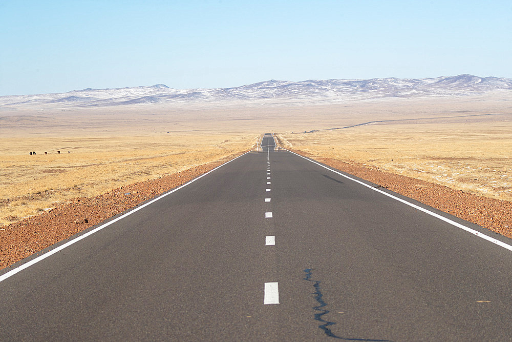 Road in the great outdoors, hilly, Landscape, Steppe area, East Mongolia, Mongolia